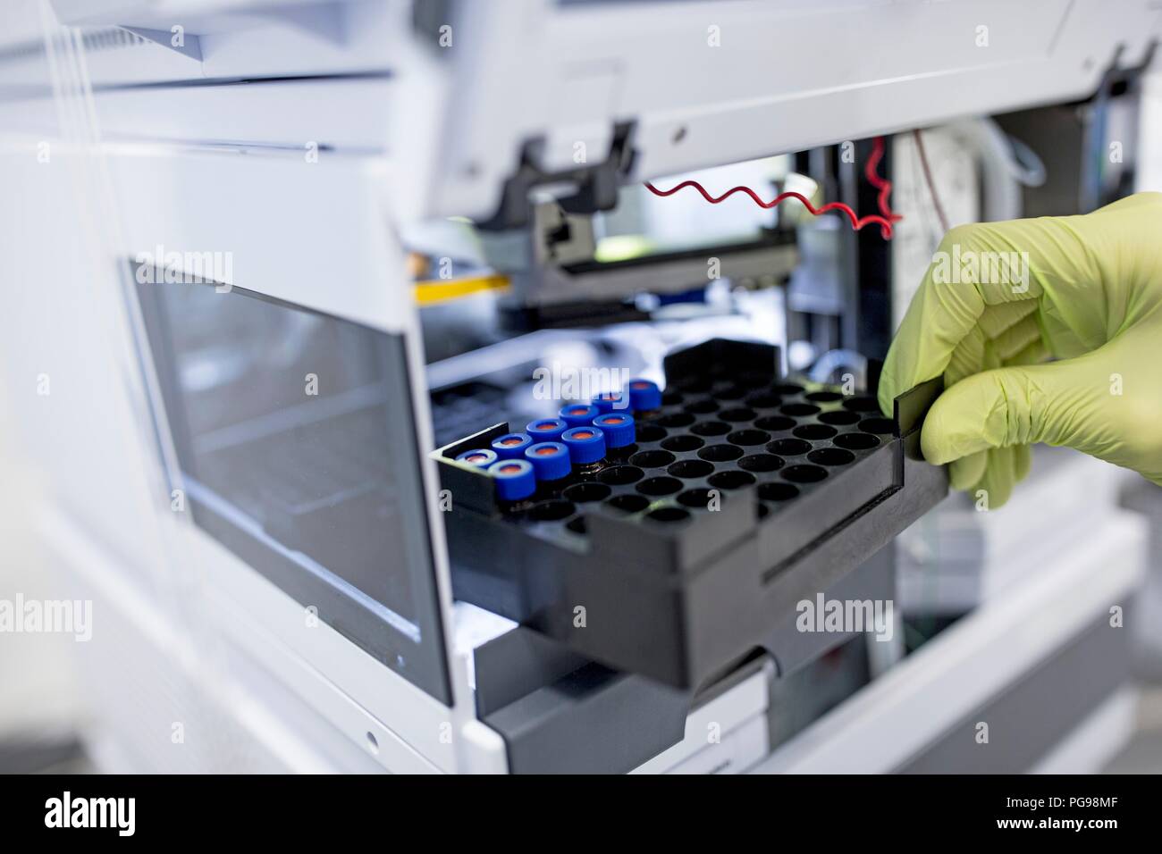 Samples being placed in a concentrator. This device concentrates or evaporates samples of biological material to prepare them for analysis. Stock Photo