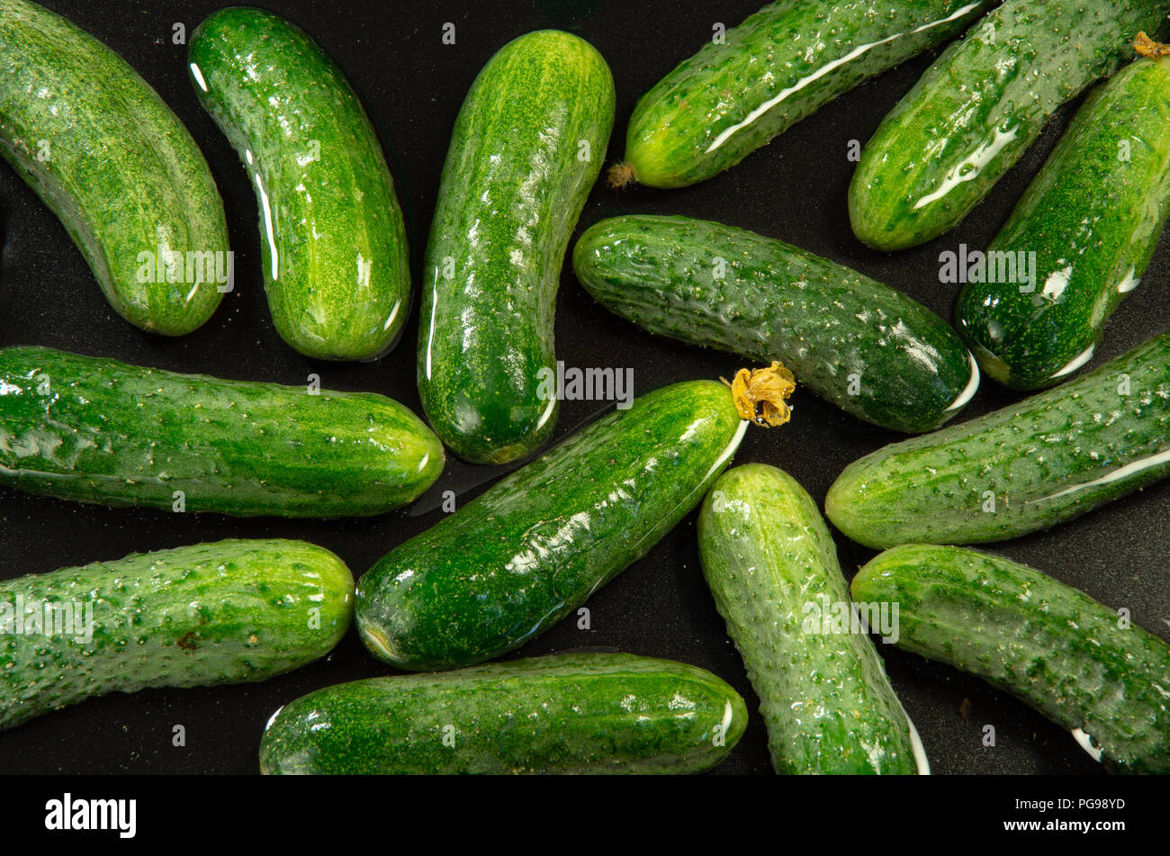 Top view of green cucumbers in water for washing as food background Stock Photo
