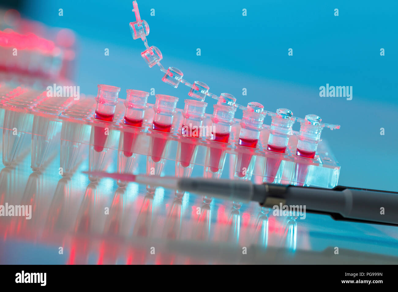 Samples in PCR tubes Stock Photo - Alamy