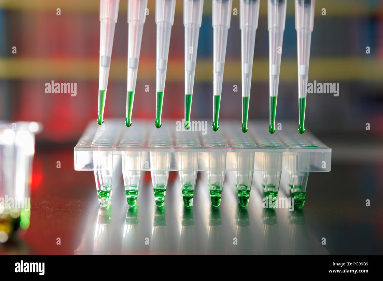 Multichannel pipette multiwell plate hi-res stock photography and ...