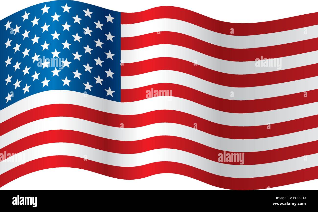 USA Flag isolated Stock Vector Image & Art - Alamy