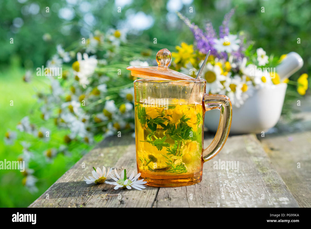 Healthy herbal tea cup, mortar of medicinal herbs and daisy healing herbs bunch outdoors. Stock Photo