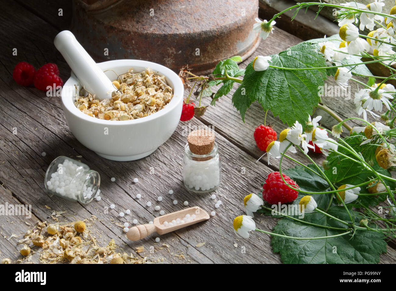 Mortar of dried daisies herbs, homeopathic globules and chamomile plants. Homeopathy and herbal medicine. Stock Photo