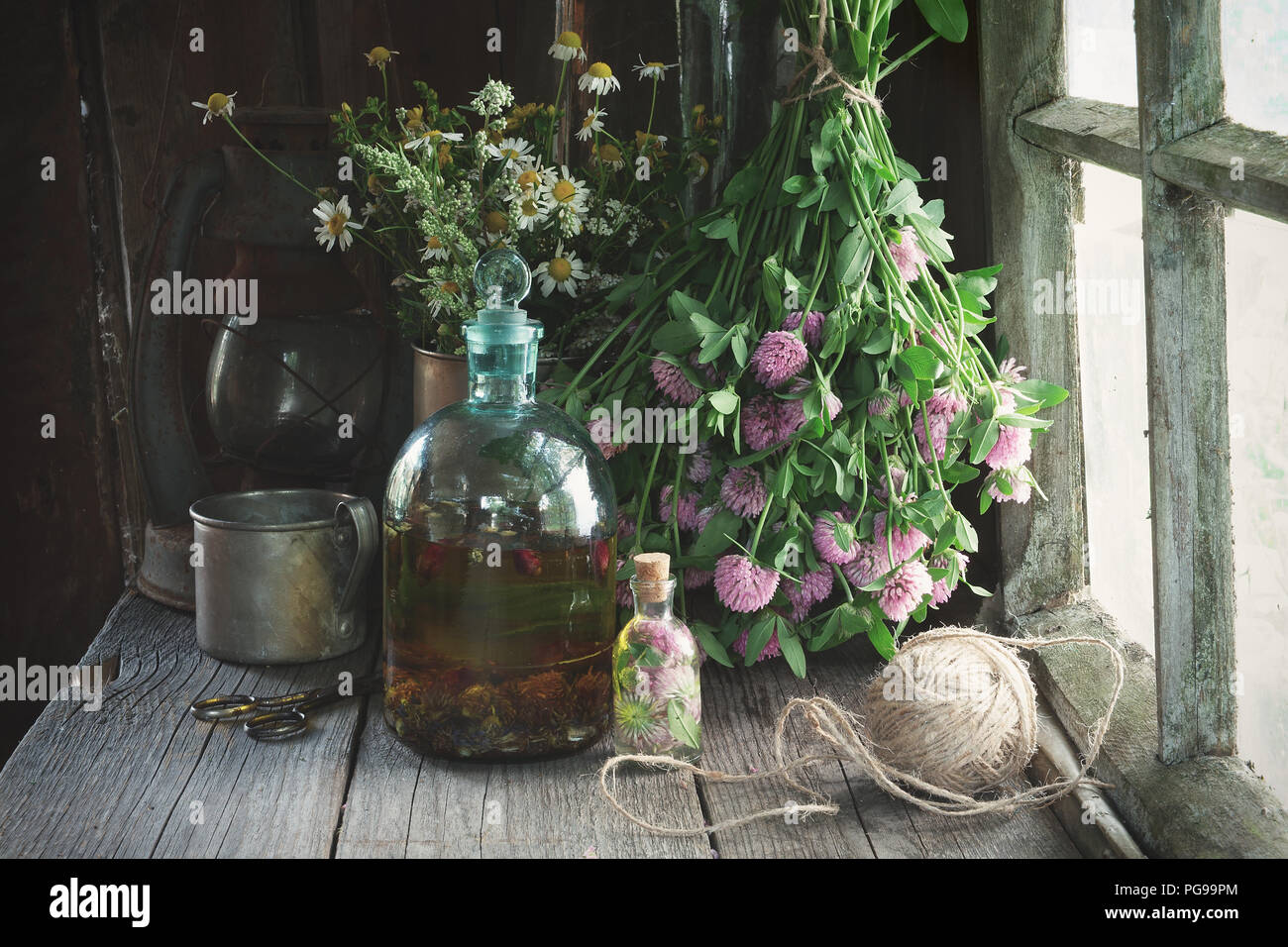 Clover tincture or infusion, essential oil bottle and medicinal herbs bunches near window inside the retro village house. Herbal medicine. Stock Photo