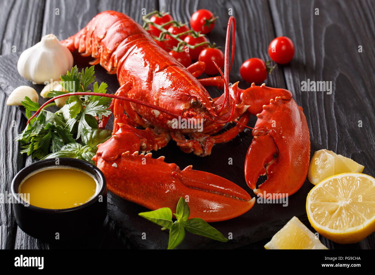 Shellfish plate of crustacean seafood with fresh boiled lobster with vegetables and herbs. gourmet dinner background. horizontal Stock Photo
