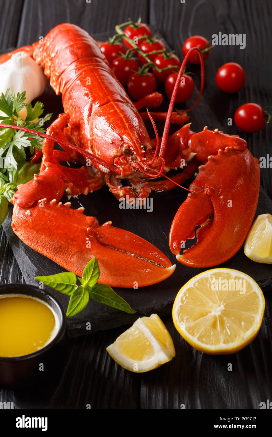 Served whole red lobster close-up with lemon, fresh tomatoes and herbs on a black background. vertical Stock Photo