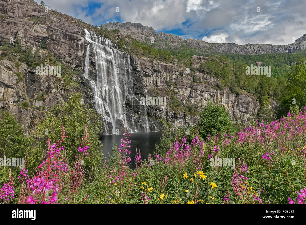 Norwegian scenic nature with waterfall and fireweed. Stock Photo
