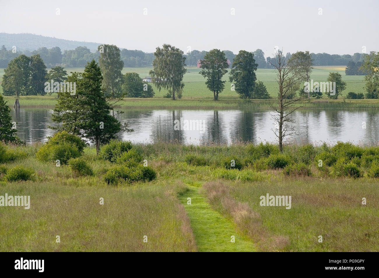 Green meadow landscape with path and Gota Älv and tree reflections on a sunny summer day in Vanersborg, Sweden. Stock Photo