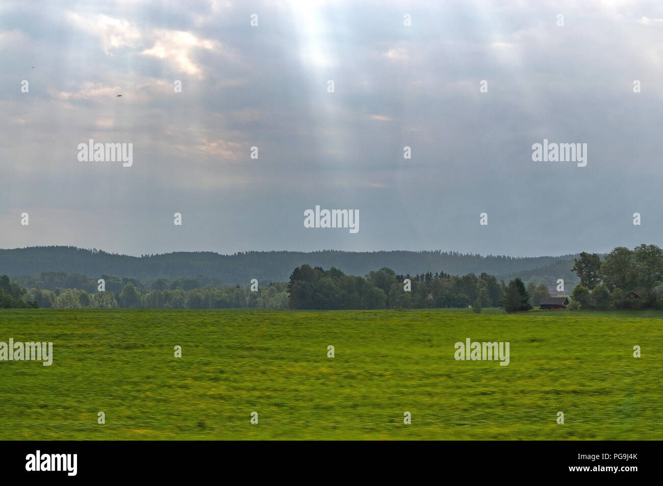 Green farmland landscape with beautiful light in Småland, Sweden Stock Photo