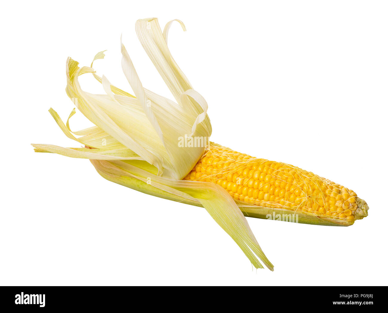 raw corn cob on a white isolated background Stock Photo