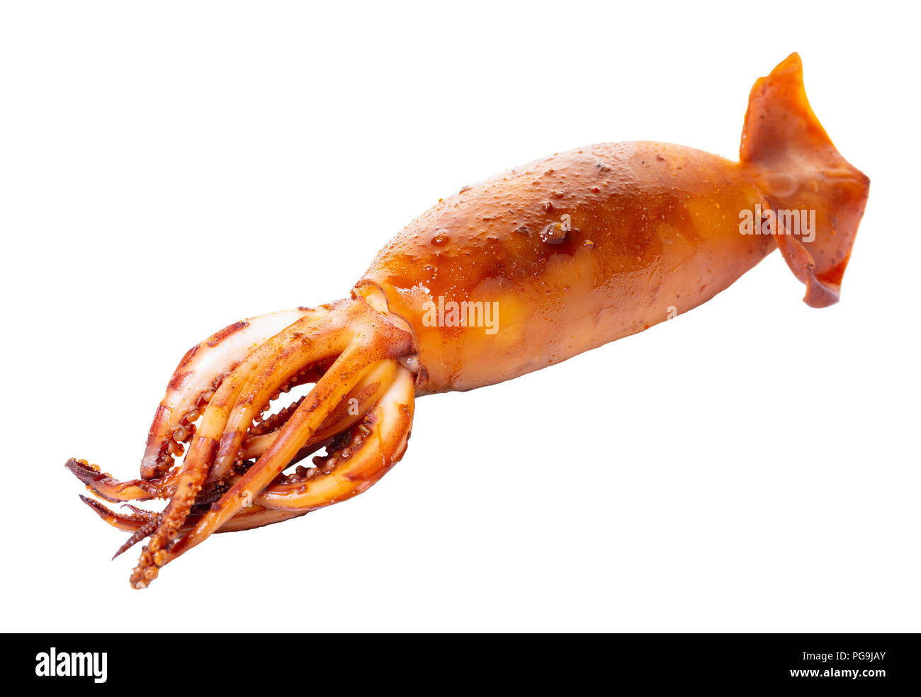 cooked squid close-up on white isolated background Stock Photo - Alamy