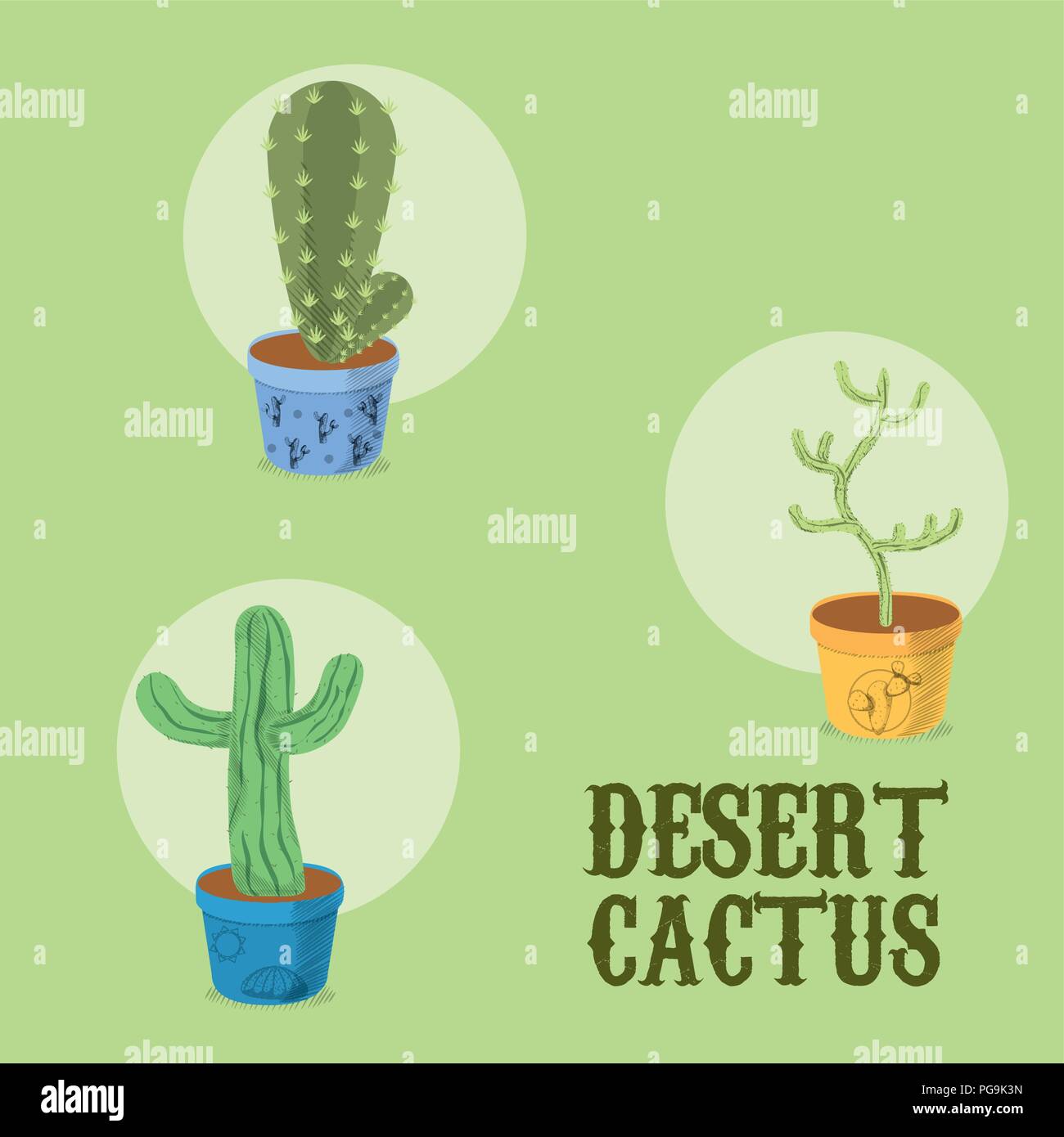 Desert cactus plant Stock Vector Image & Art - Alamy