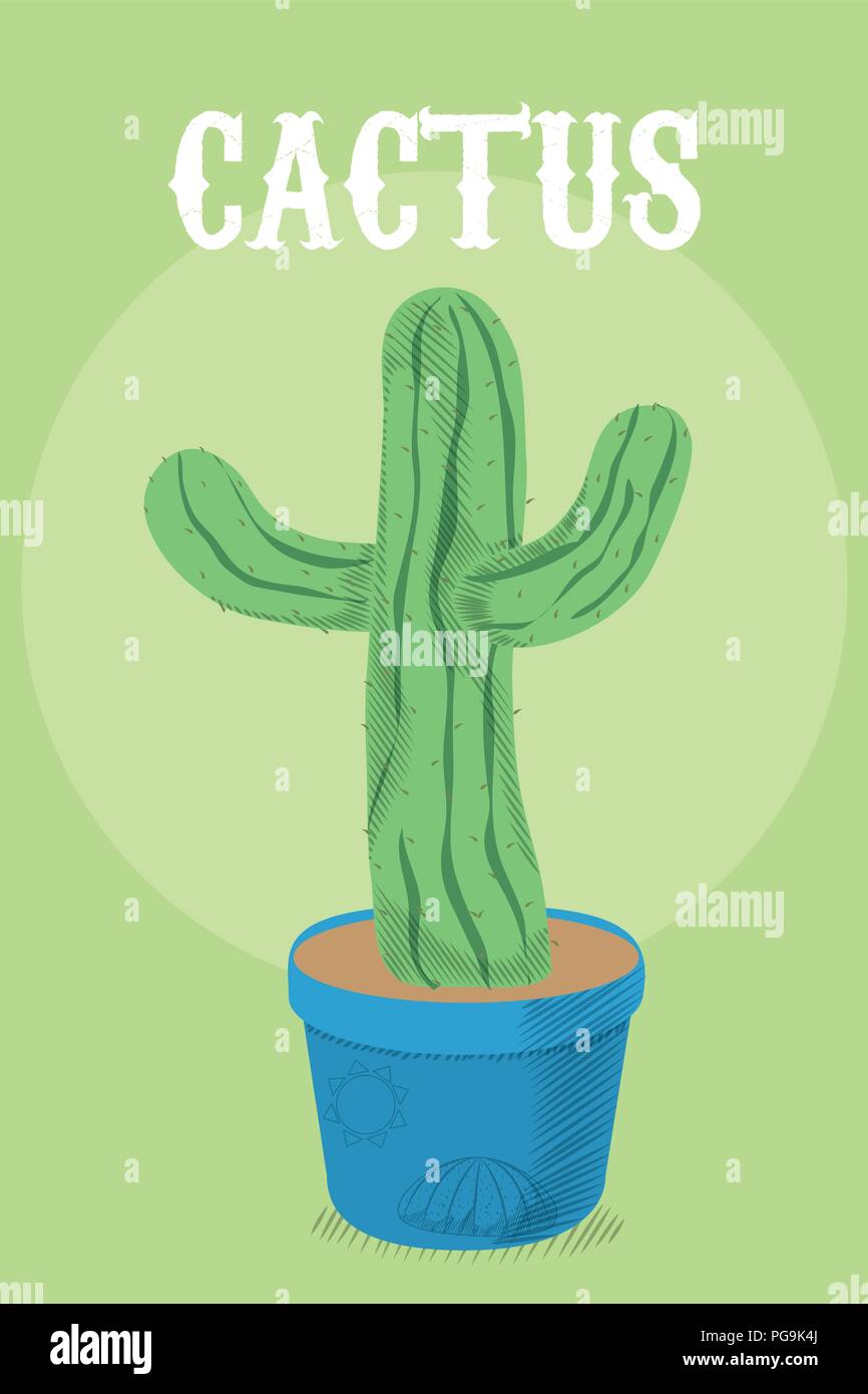Desert cactus plant Stock Vector Image & Art - Alamy