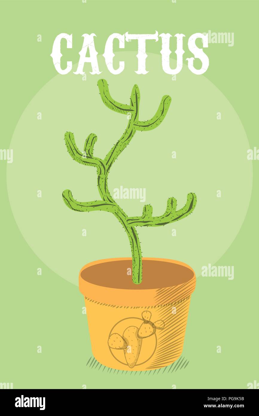 Desert cactus plant Stock Vector Image & Art - Alamy