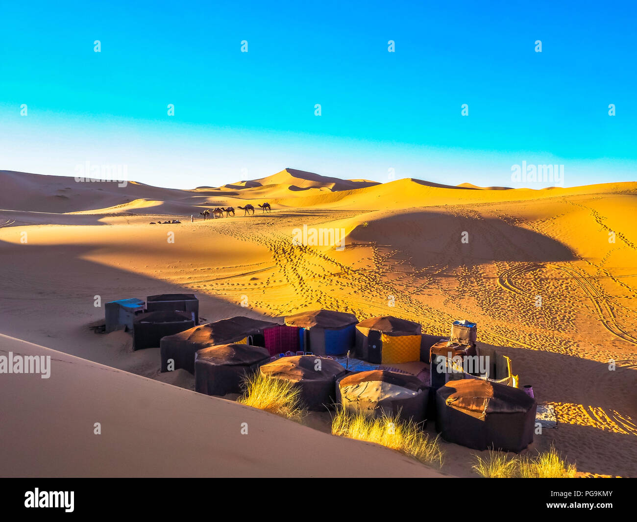 Bedouin Village in Sahara Desert Stock Photo Alamy