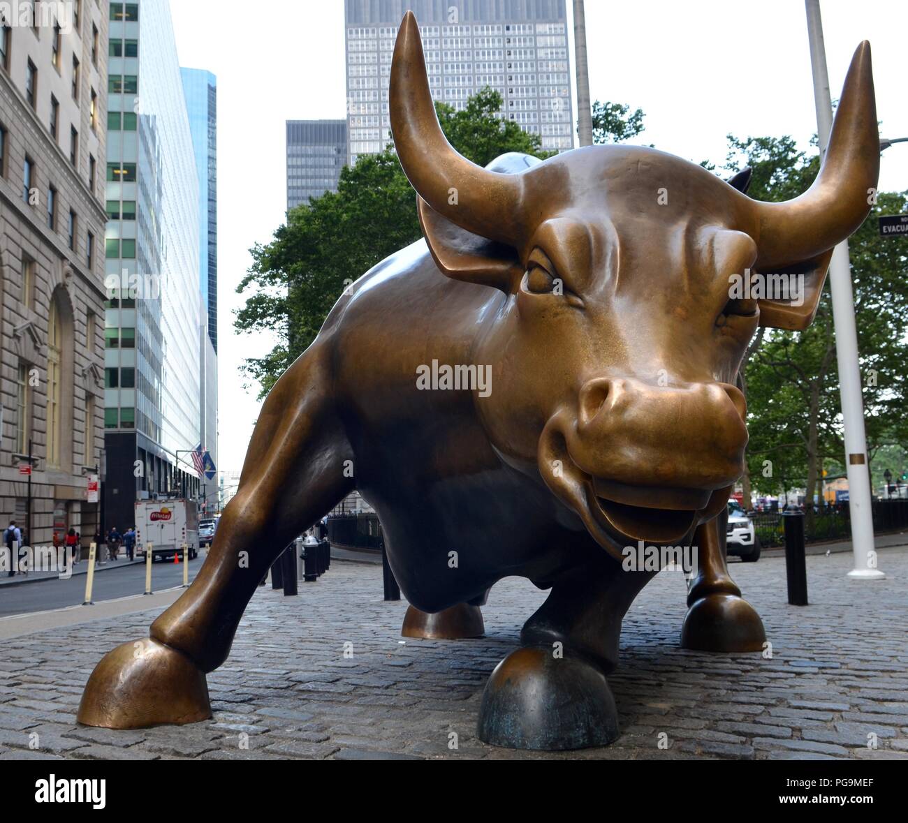 Bull in Lower Manhattan, New York, NY, USA Stock Photo Alamy
