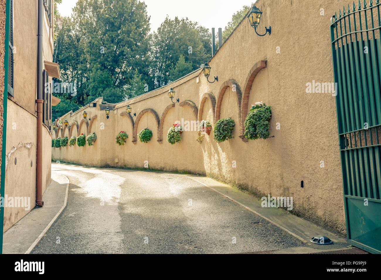 European style high gates with path leading in with hanging plants on ...