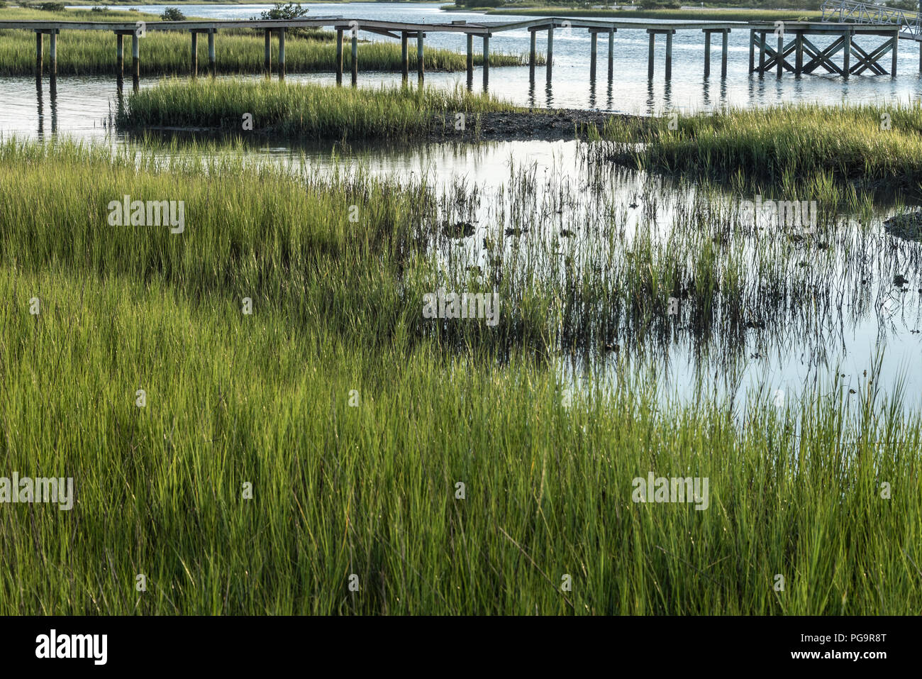 St. Augustine, Florida estuarine salt marsh at Matanzas Bay near the St. Augustine inlet Stock Photo