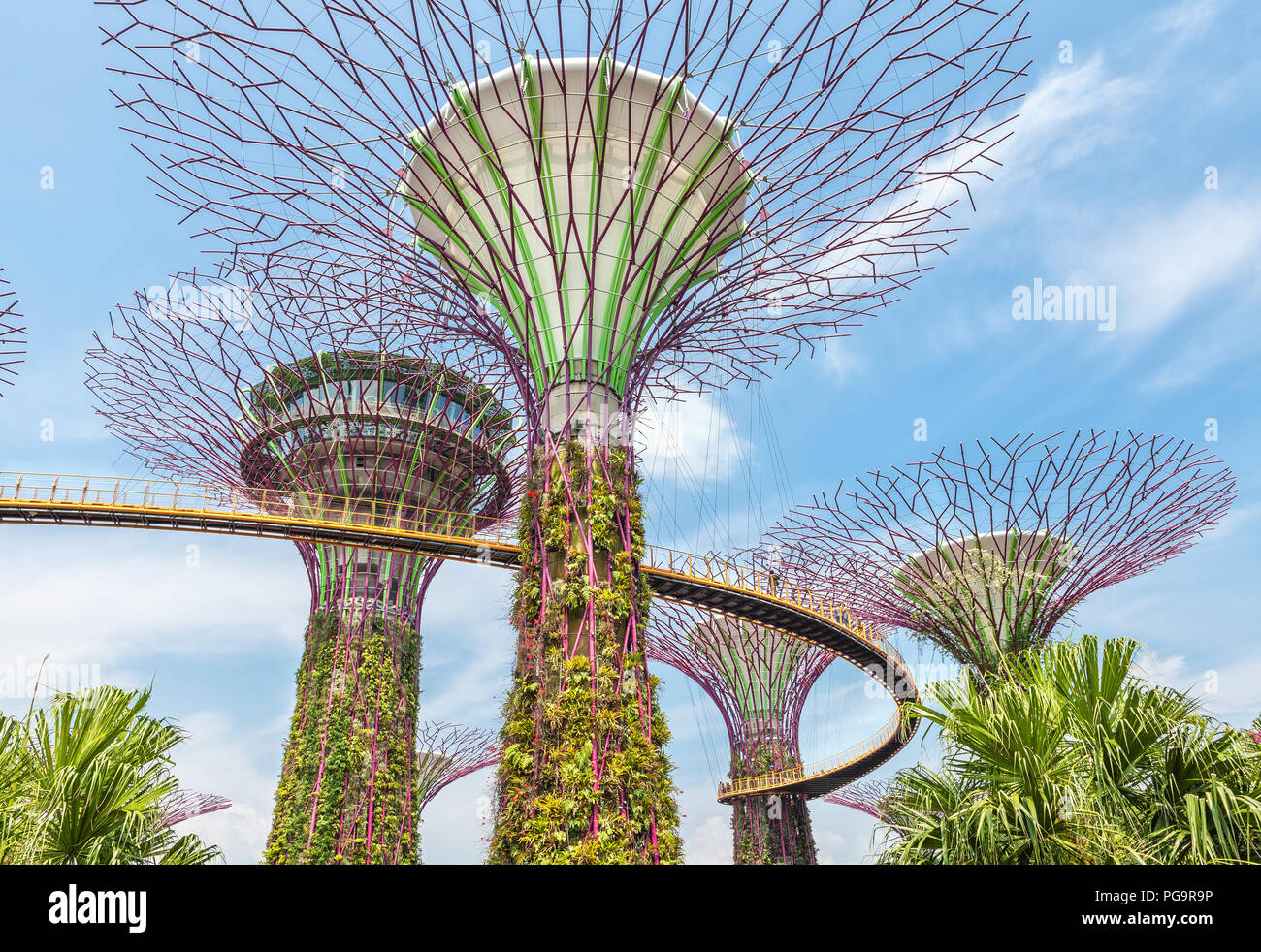 Futuristic super trees in the center of Singapore in Gardens by the Bay ...