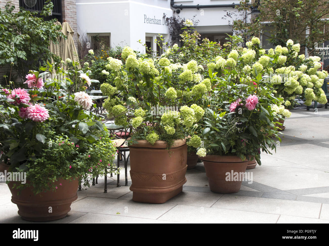 The Courtyard, Petersham Nurseries, King Street, Covent Garden, London