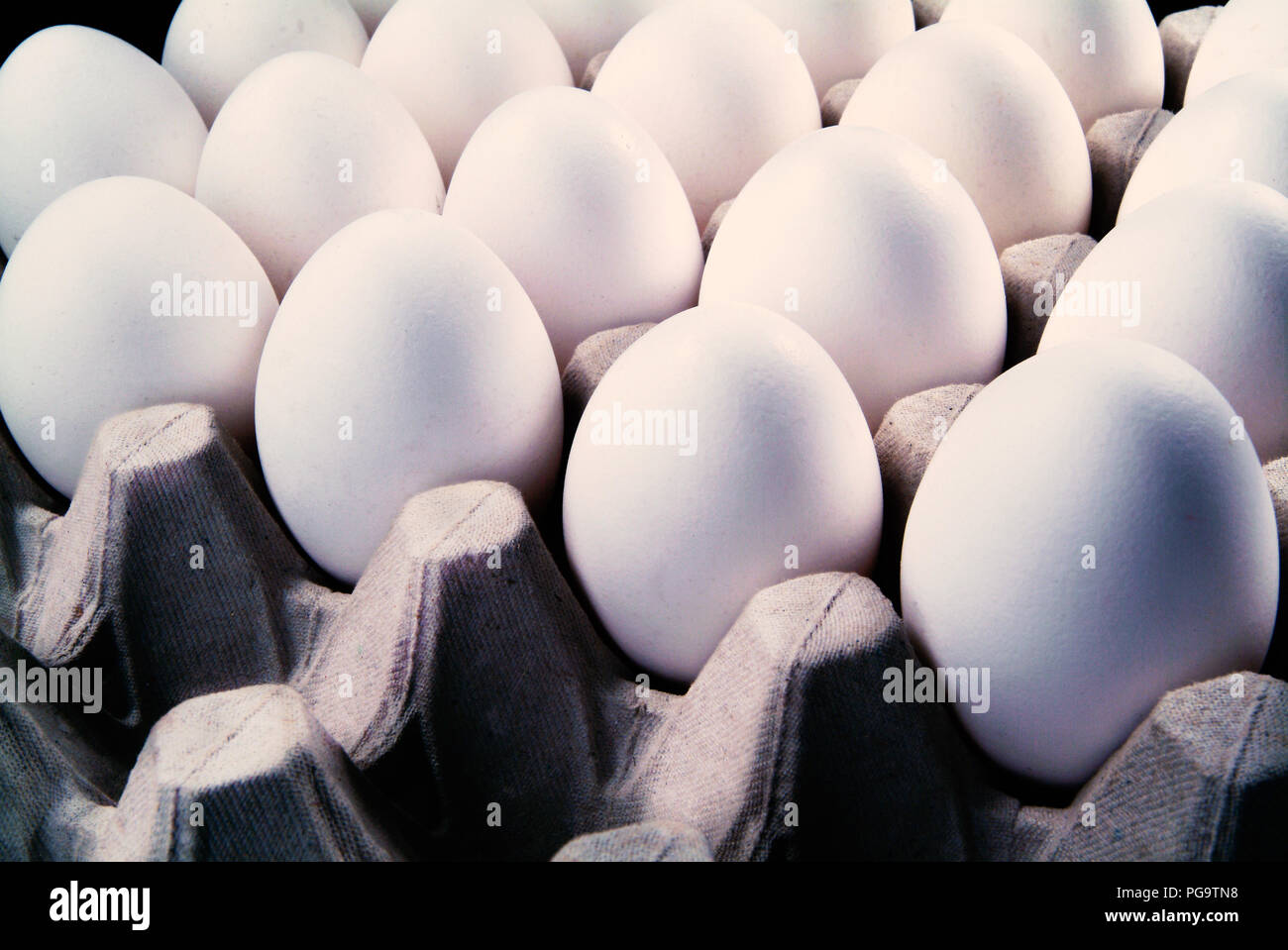 Rows of eggs in carton. Stock Photo