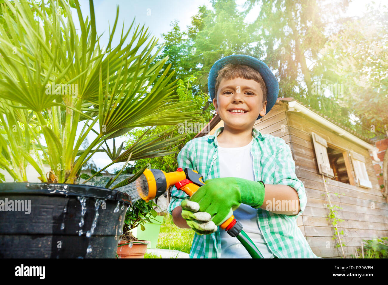 Happy boy watering palm tree using hand sprinkler Stock Photo Alamy
