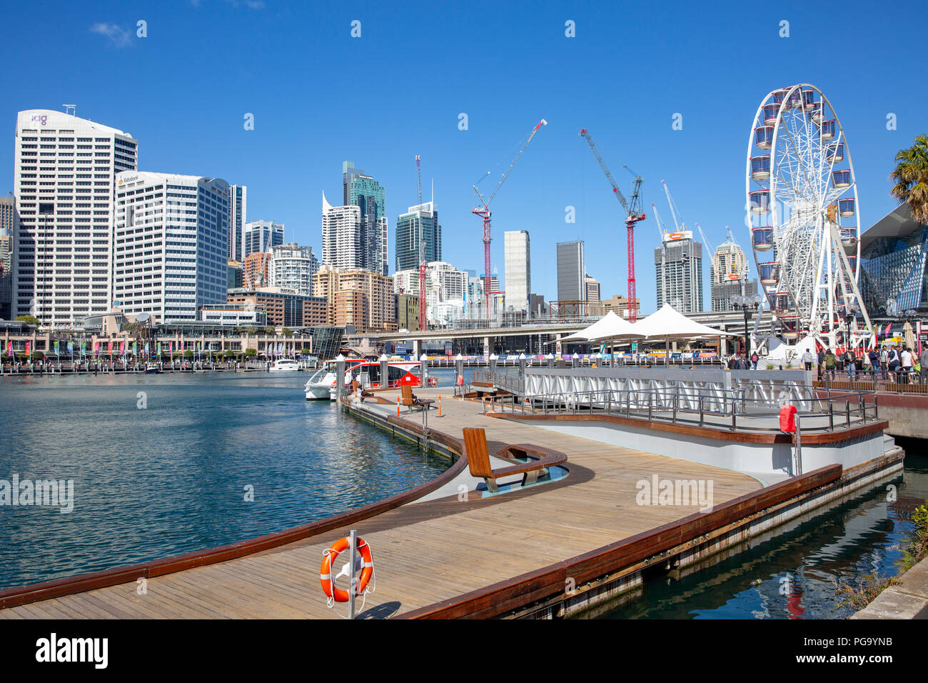 Darling Harbour and Giant ferris wheel in Sydney city centre,New South Wales,Australia Stock Photo