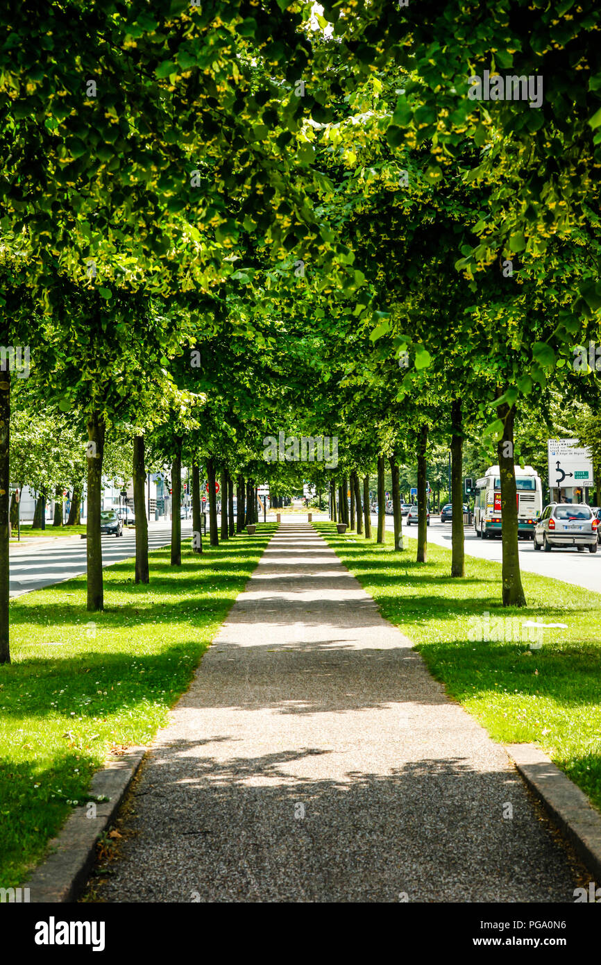 A beautiful view along the brick pedestrian walkway between a canopy of green trees on the Avenue du President Hoover in Lille, France Stock Photo