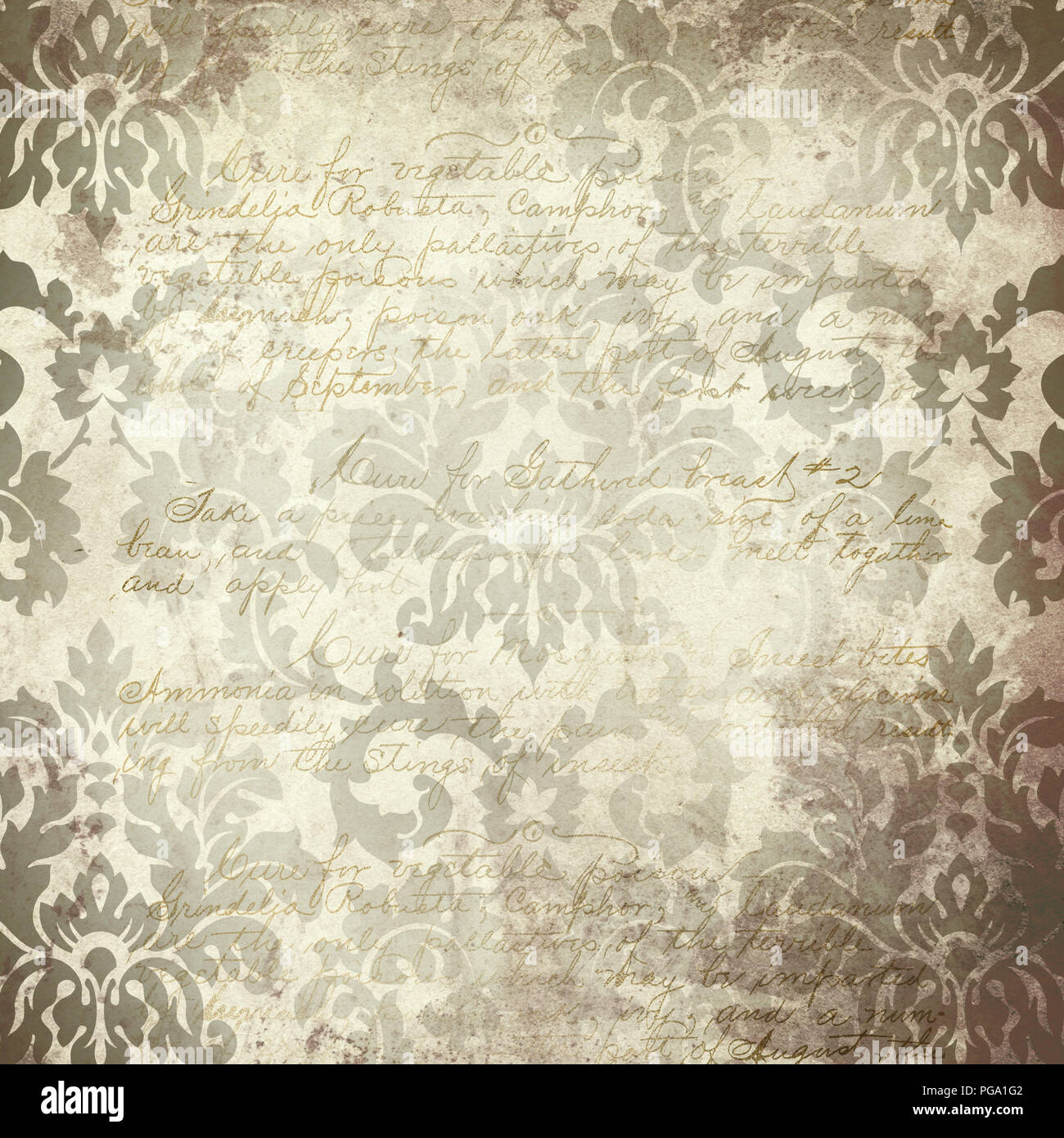 Louisiana Life New Orleans Culture Parchment Damask Wallpaper Background Stock Image