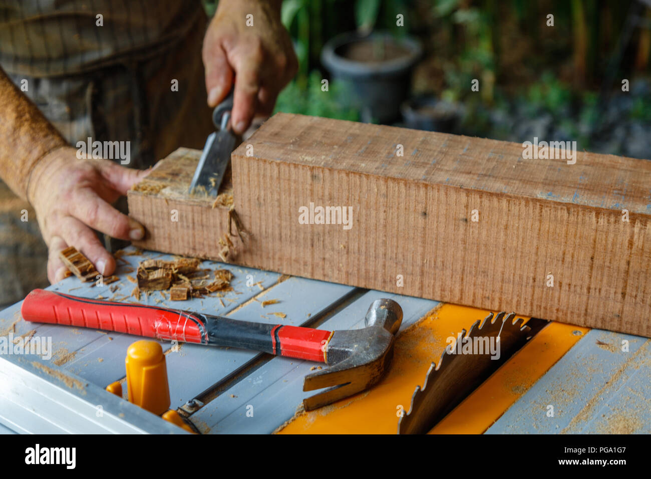 Man in apron chiseling wood with chisel on a table saw. Hammer laying on the table. Hands covered in saw dust. Carpentry tools, concept of wood work. Stock Photo