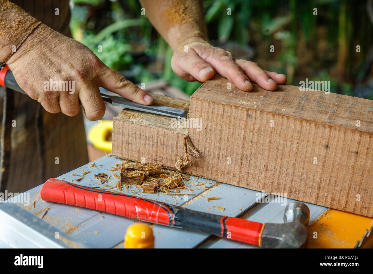 Man in apron chiseling wood with chisel on a table saw. Hammer laying on the table. Hands covered in saw dust. Carpentry tools, concept of wood work. Stock Photo