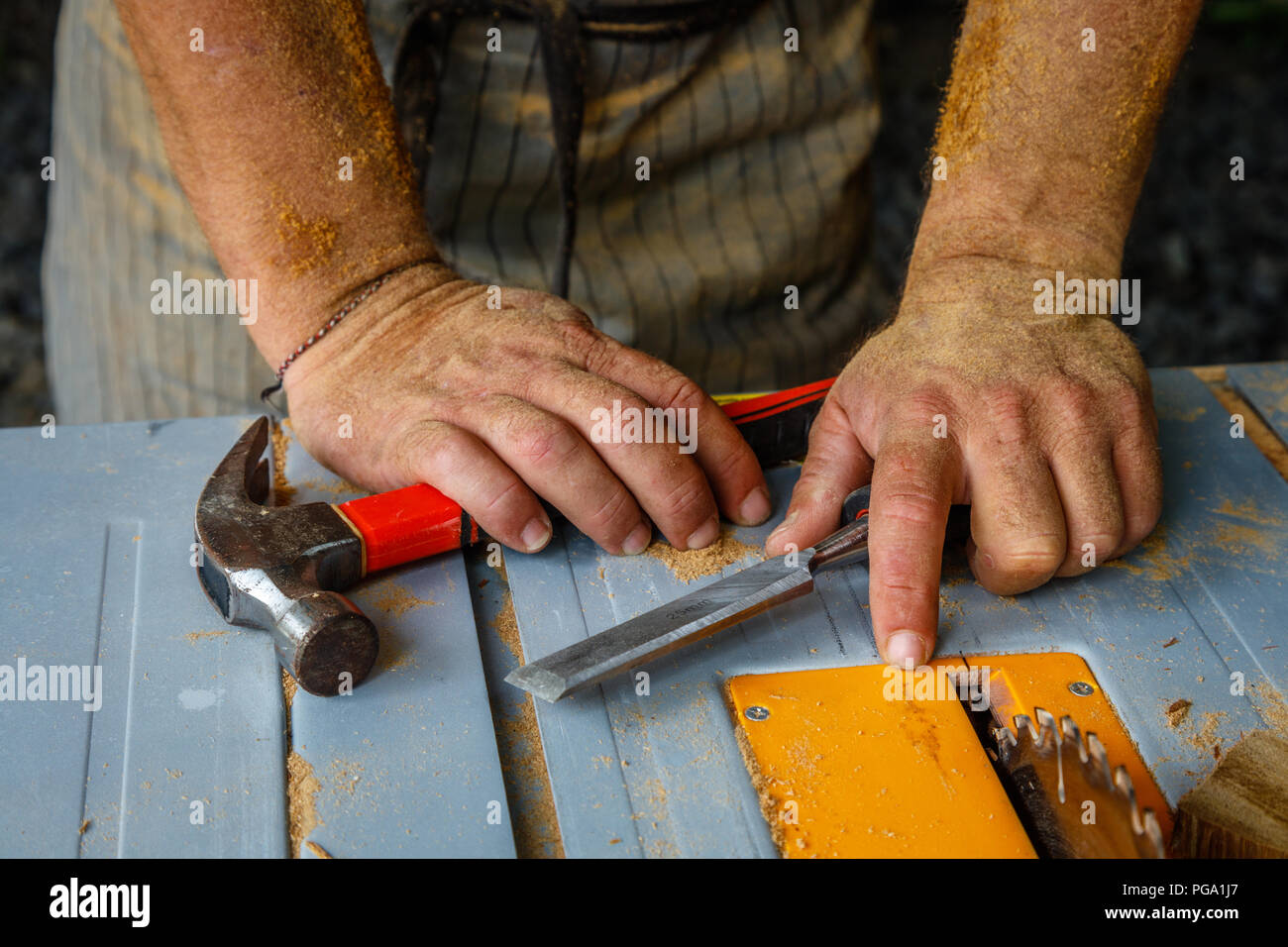 Man's hands covered in saw dust with hammer and a chisel on a table saw . Carpentry tools, concept of wood work. Stock Photo