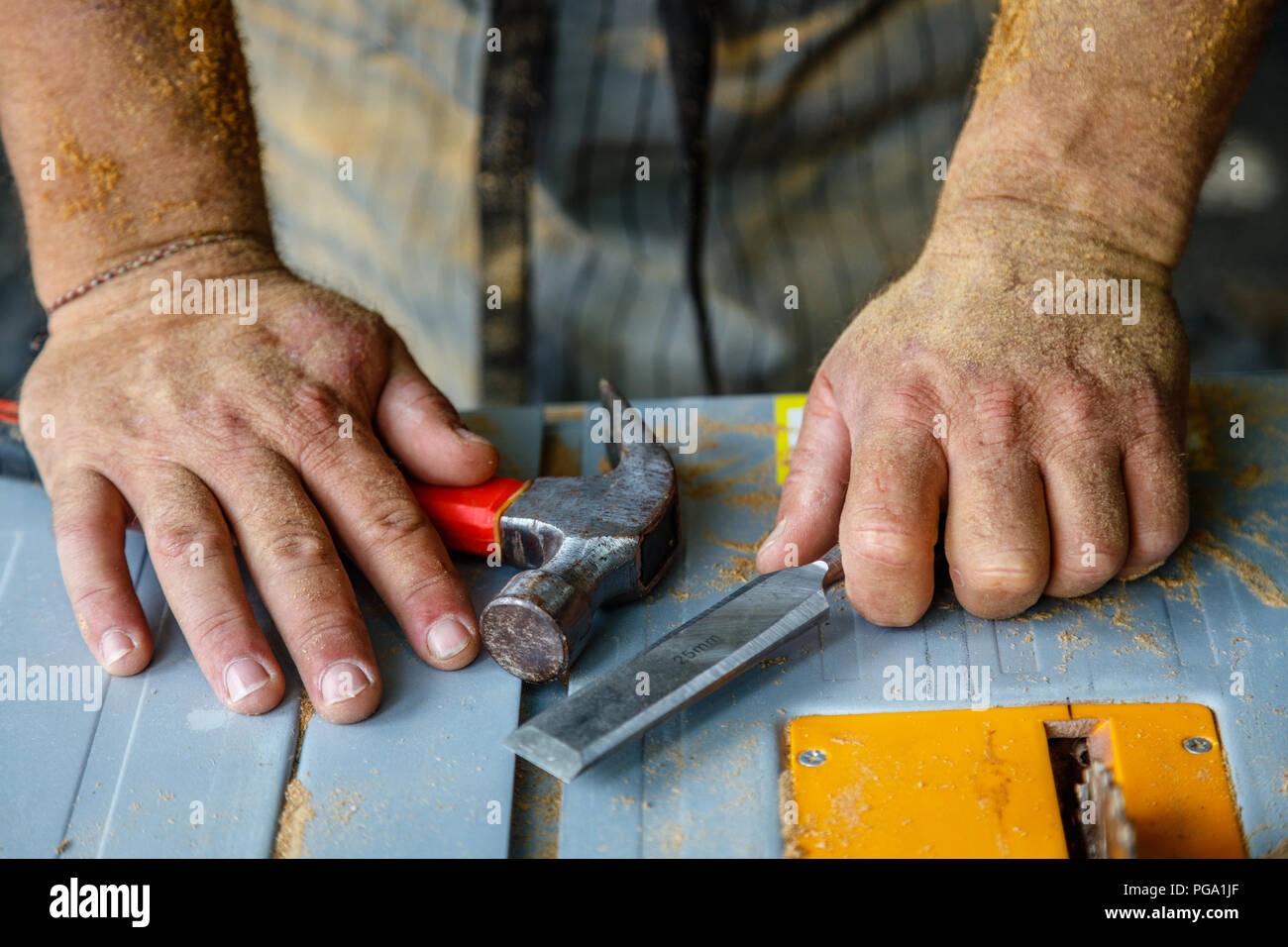 Man's hands covered in saw dust with hammer and a chisel on a table saw . Carpentry tools, concept of wood work. Stock Photo