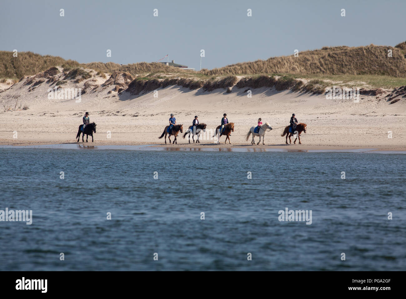 People horse riding on the beach near Søndervig on the west coast of Jutland in Denmark Stock Photo