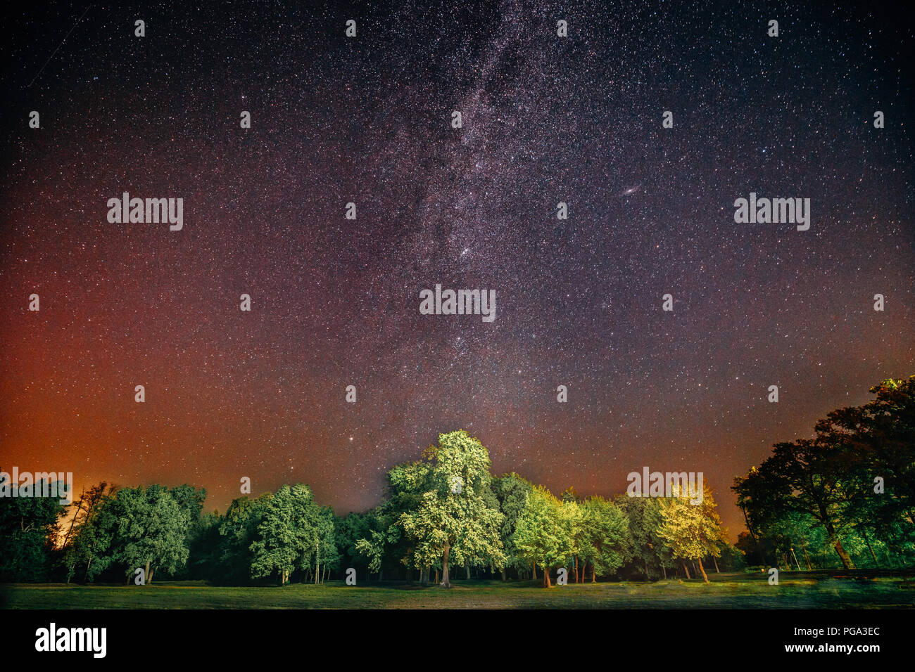 Milky Way Galaxy In Night Starry Sky Above Tree In Summer Forest ...