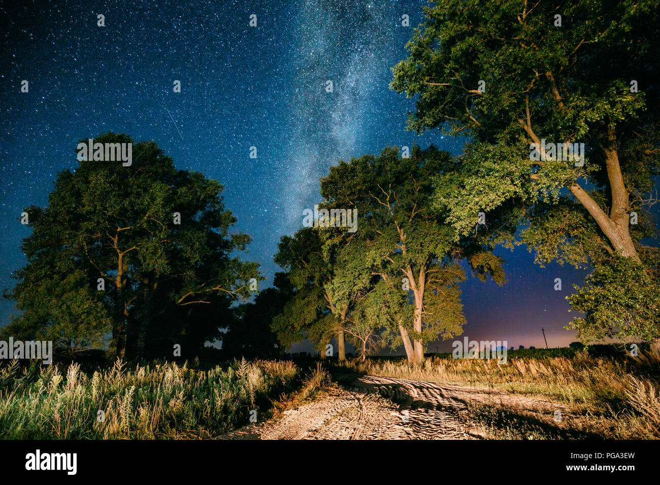 Milky Way Galaxy In Night Starry Sky Above Trees In Summer Forest ...
