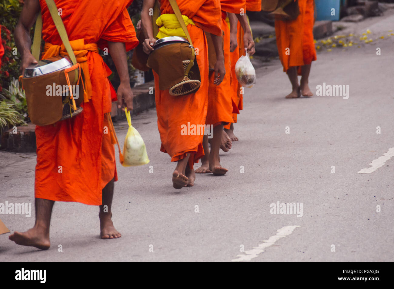 Morning alms giving ceremony in Buddhism called Sai bat or Tak Bat in Luang prabang Laos Stock Photo