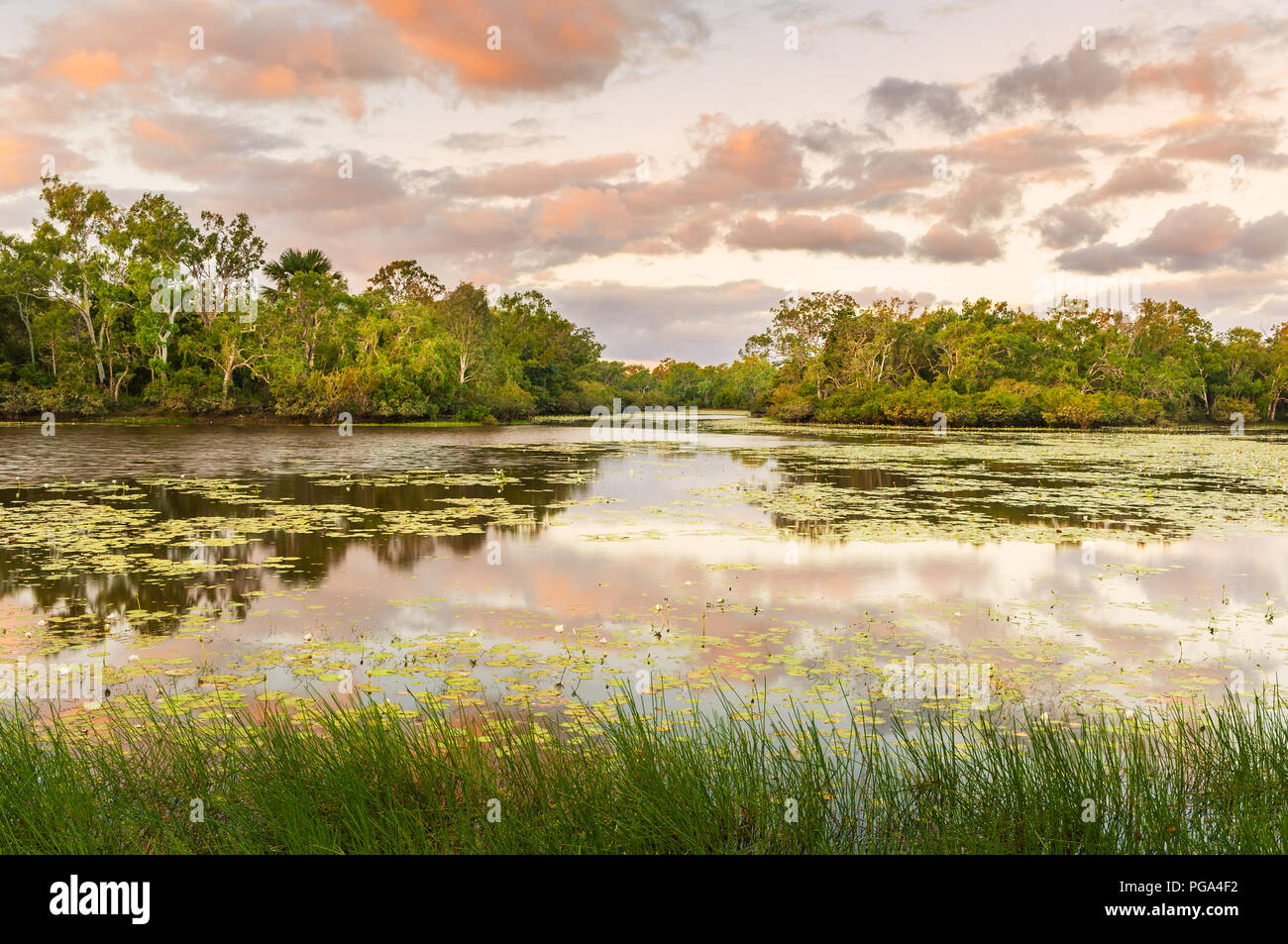 Pictureque Horseshoe Lagoon in Lakefield National Park. Stock Photo