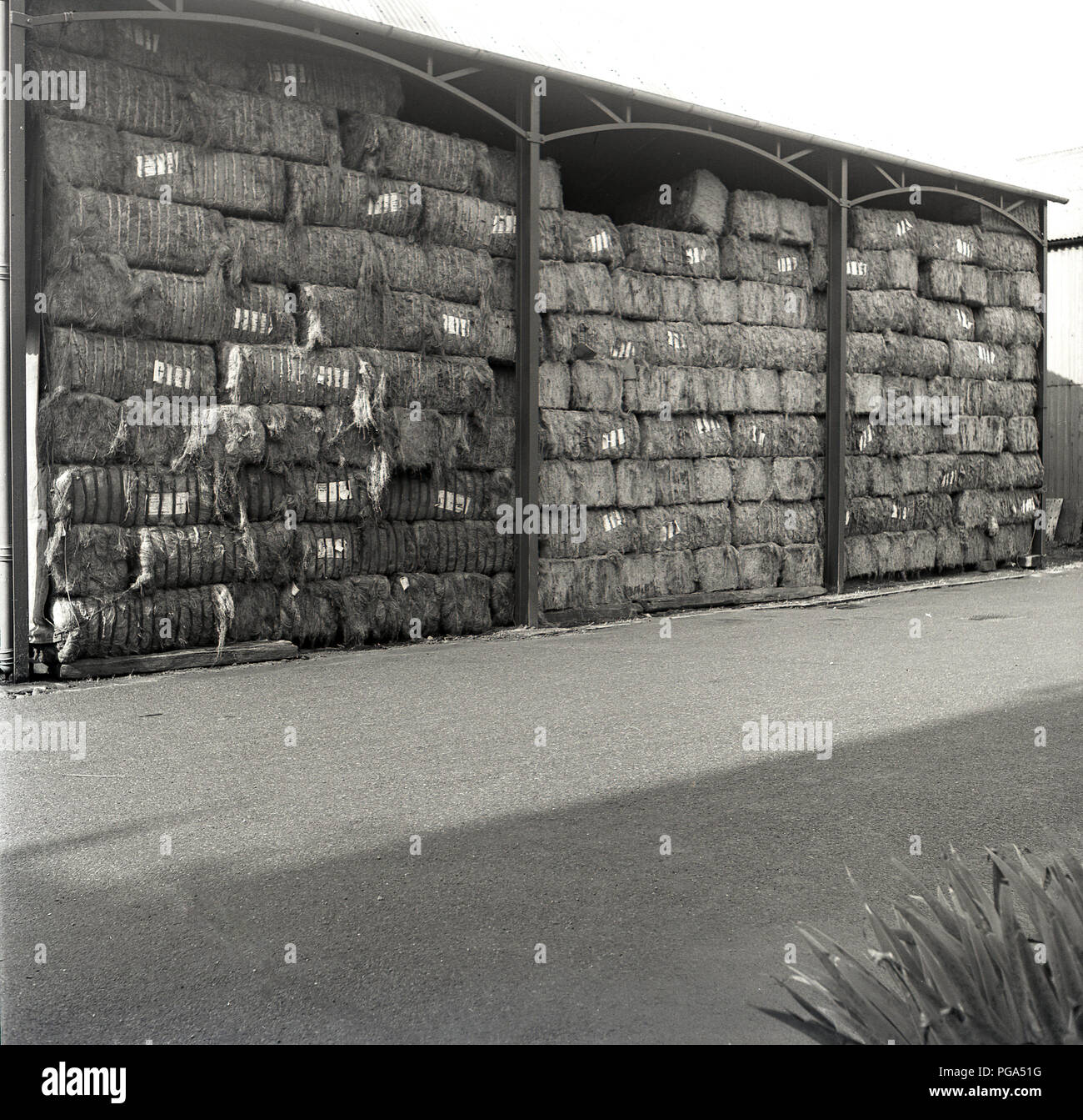 1950s, historical, paper pulp bales stored outside in the open air under cover at Brittains, a leading British paper mill of this era, England, UK. Stock Photo