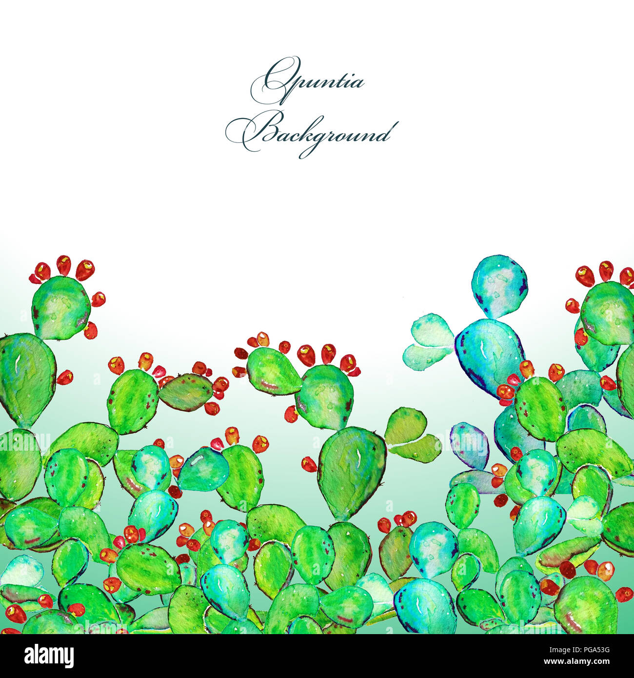 Prickly pear cactus with ripe fruits. Cacti forest background for cards ...