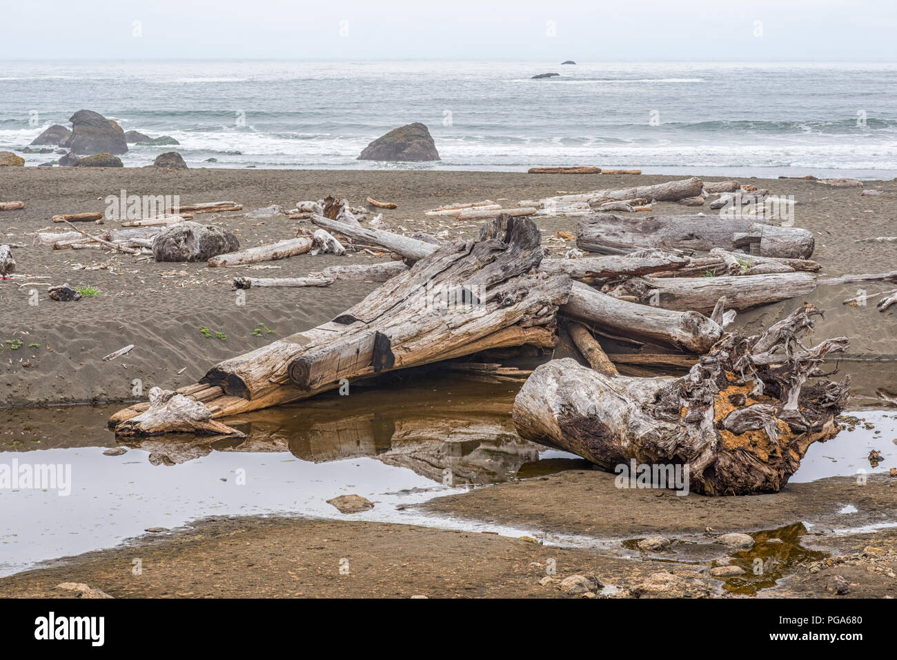 Driftwood on Wilson Creek Beach along False Klamath Cove. Redwood