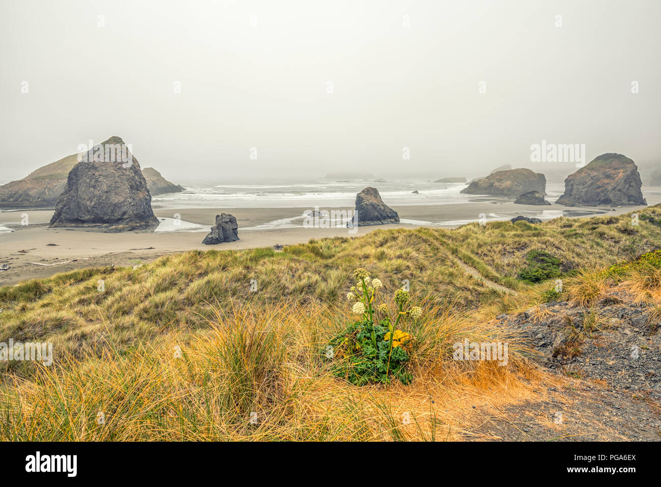 Pistol river scenic viewpoint hires stock photography and images Alamy