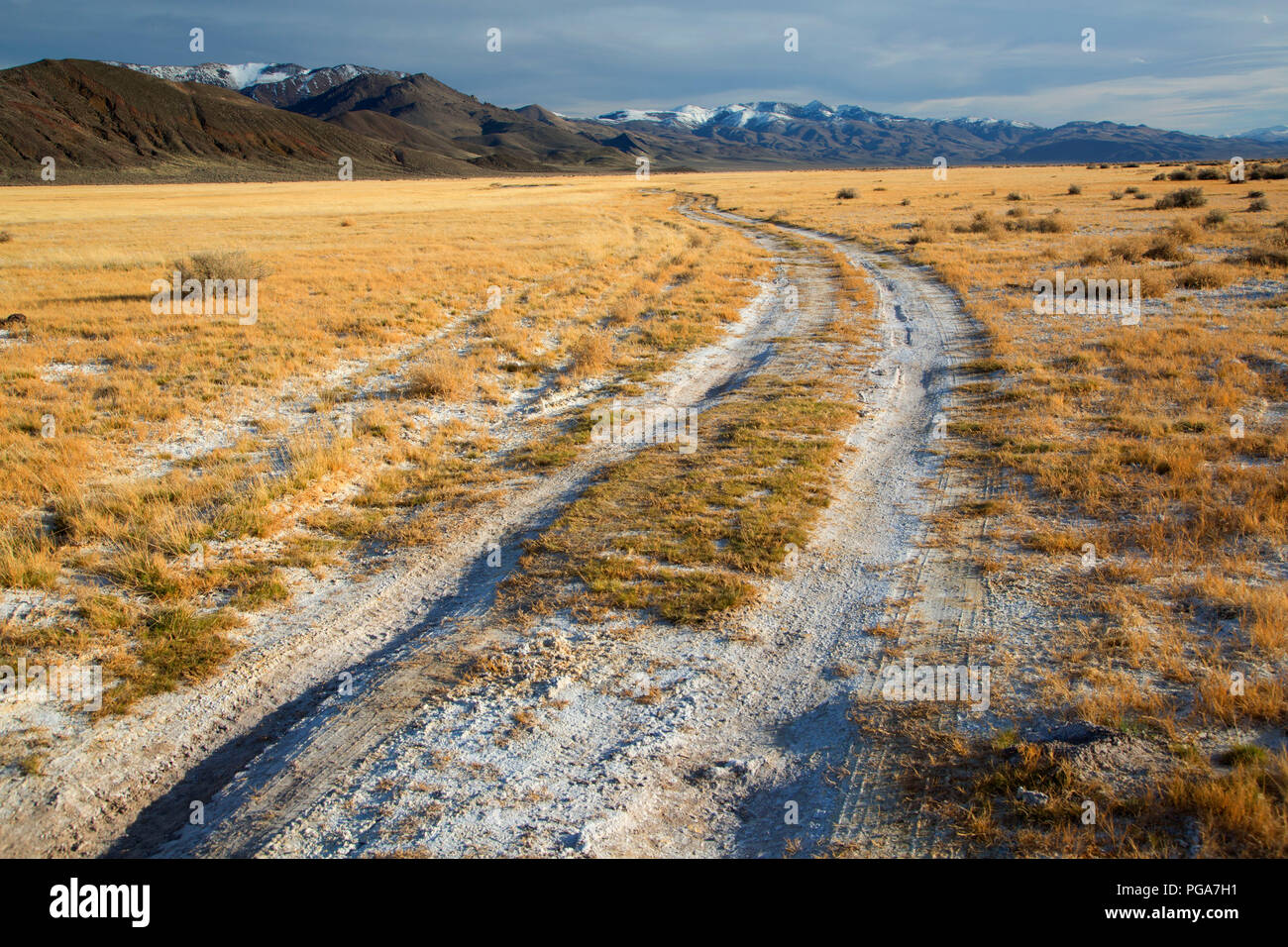 Jeep road in Alkali Flat, Humboldt County, Nevada Stock Photo Alamy