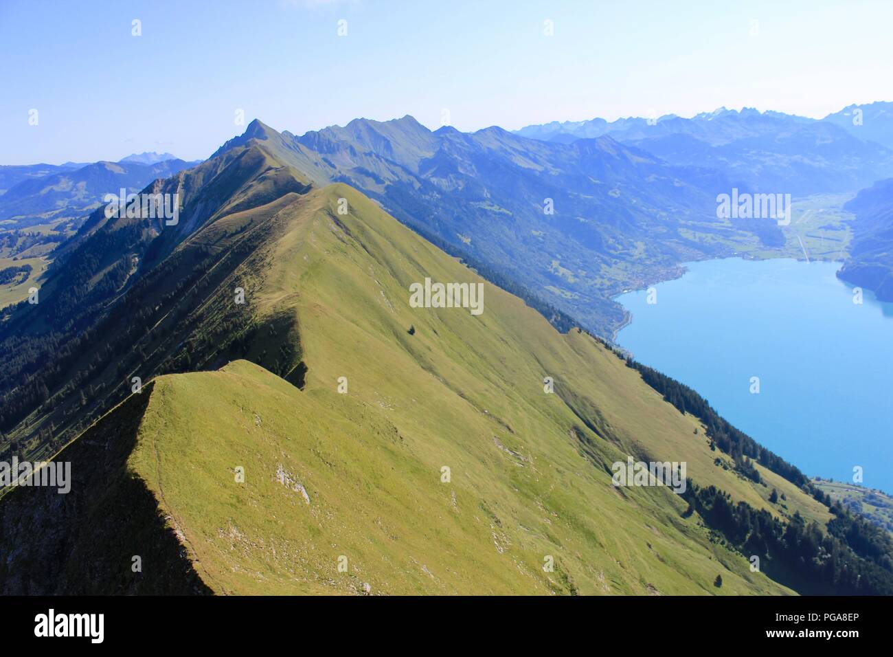 Female Hiker overlooking Lake of Brienz in the Swiss Mountains - Hardergrat Trail Finisher Stock Photo