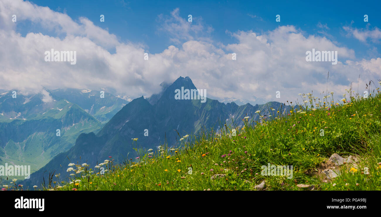 Mountain panorama from the Laufbacher Eck-Weg, a panoramic mountain trail from the Nebelhorn into the Oytal, behind the Höfats Stock Photo