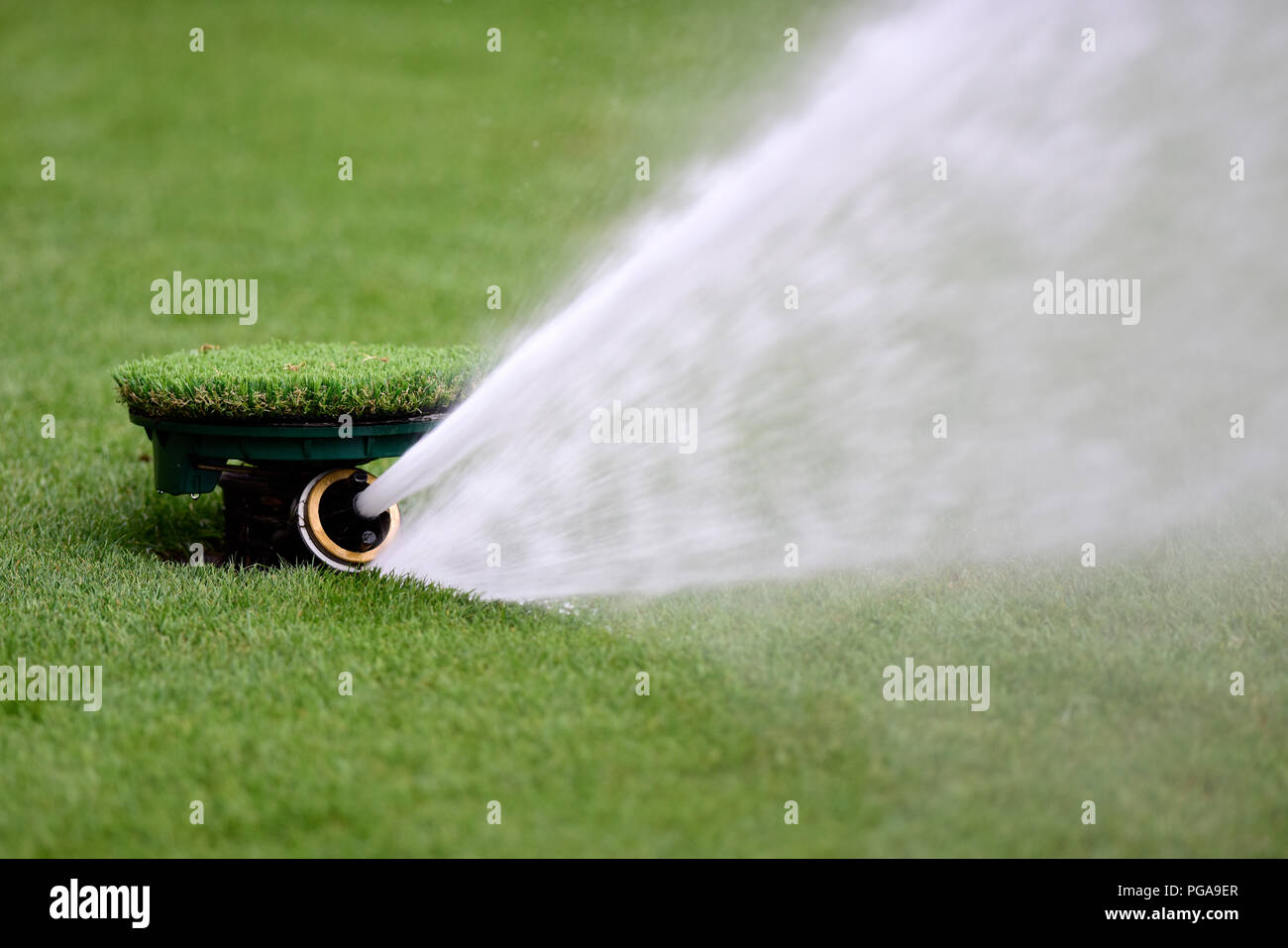 Lawn, irrigation, Germany Stock Photo