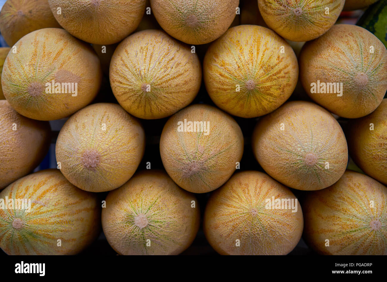 A lot of yellow melons on market store. Stock Photo