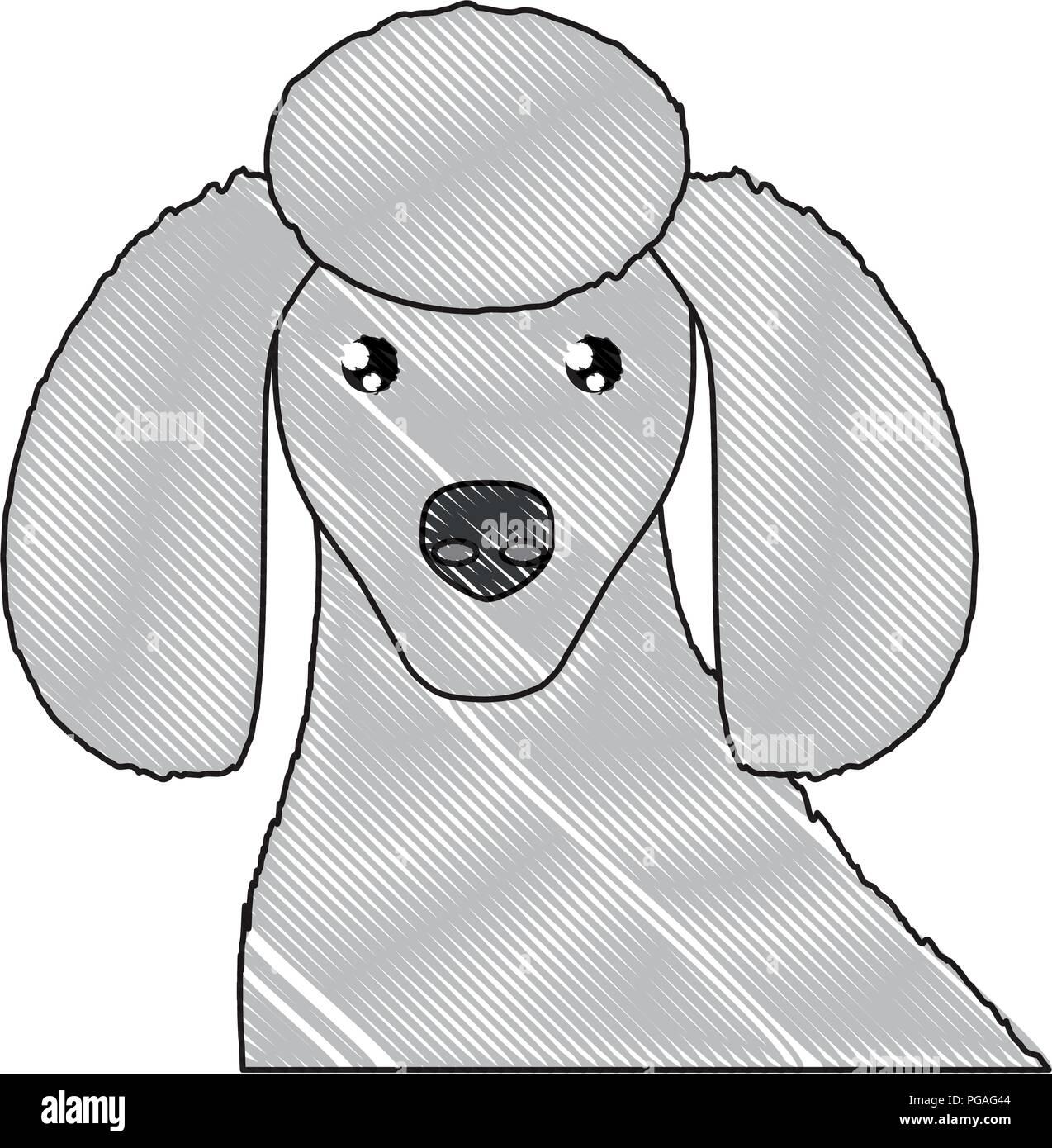 cute poodle dog icon over white background, vector illustration Stock ...