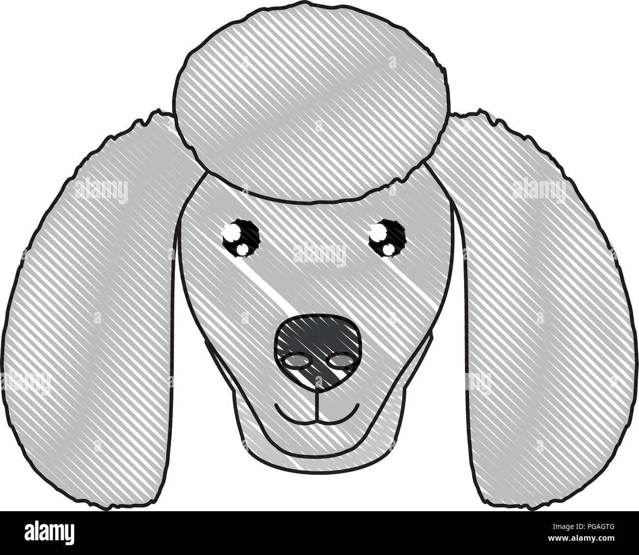 cute poodle dog icon over white background, vector illustration Stock ...