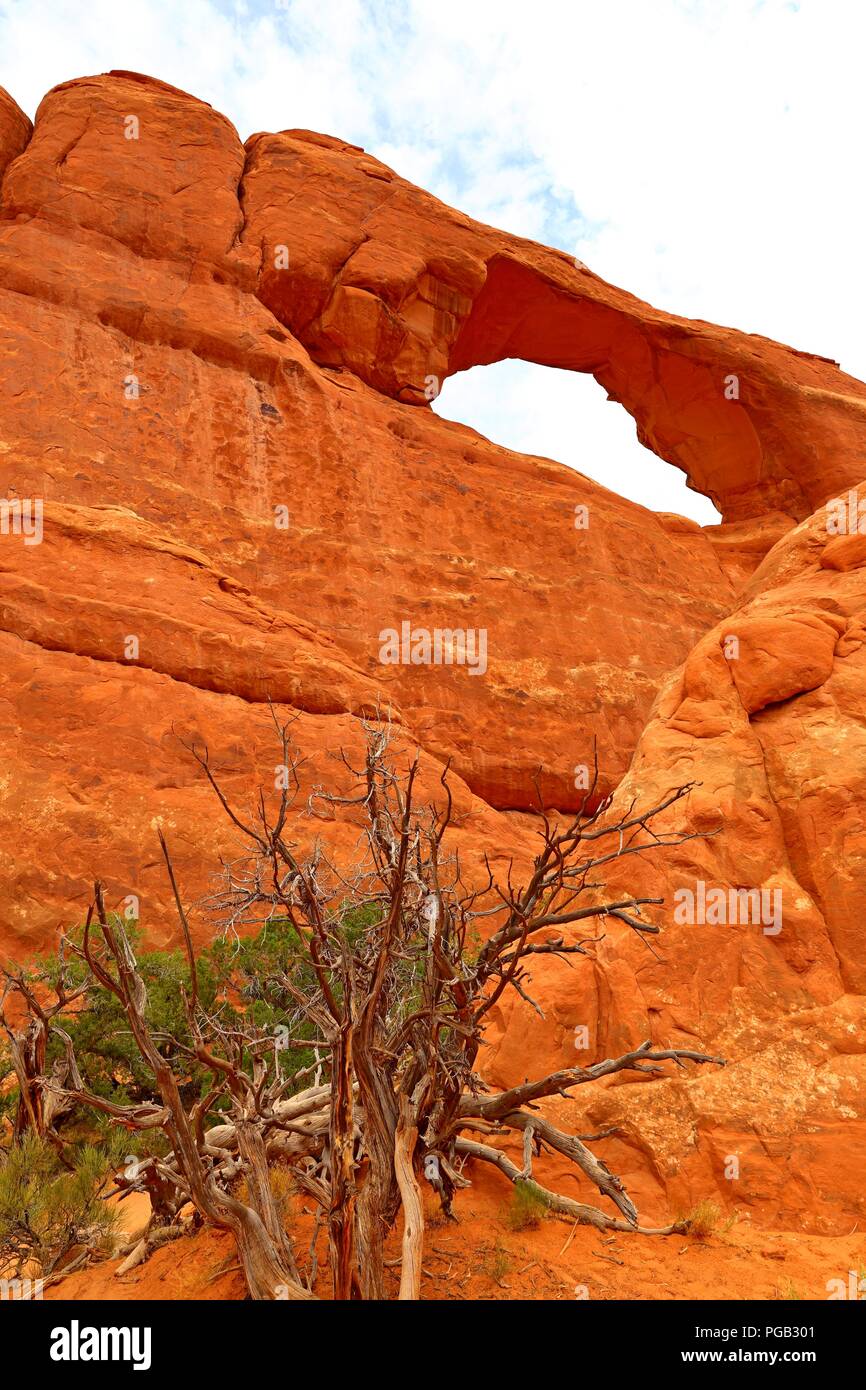 Beautiful rock pedestals in Arches National Park, Utah Stock Photo Alamy